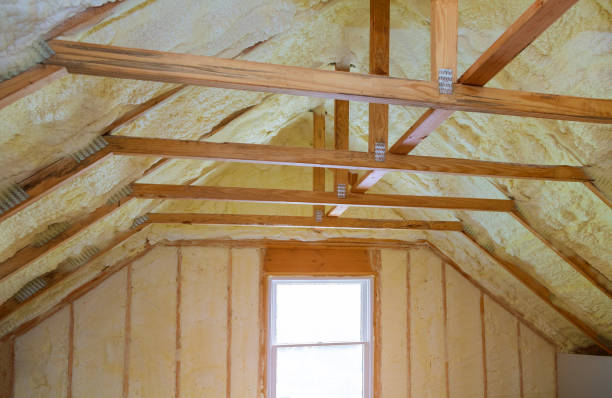 Best Local Insulation Services  in Kearney, MO