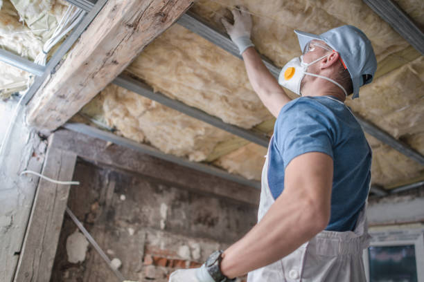 Best Fiberglass Insulation  in Kearney, MO