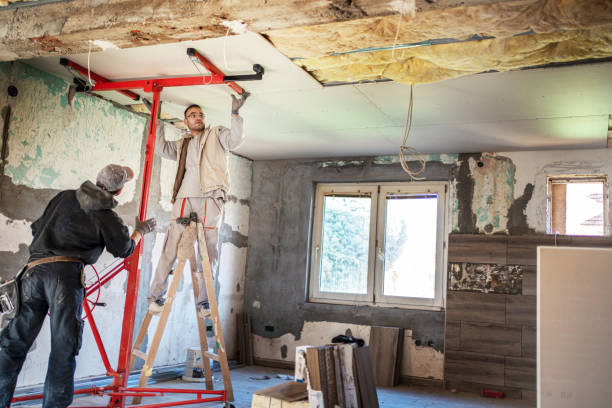 Best Commercial Insulation Contractor  in Kearney, MO