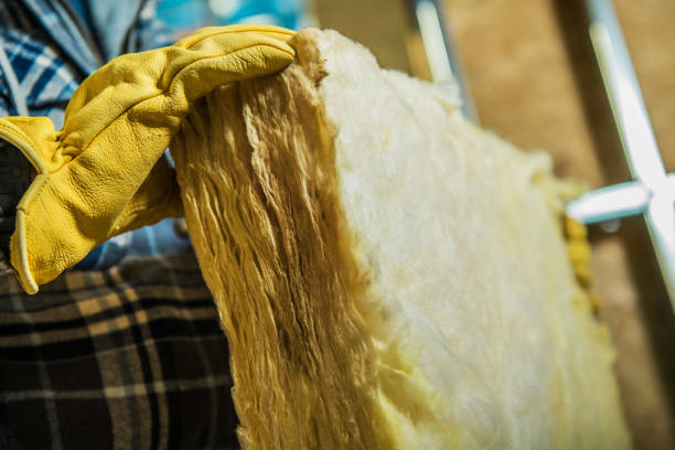 Best Blown-in Insulation  in Kearney, MO