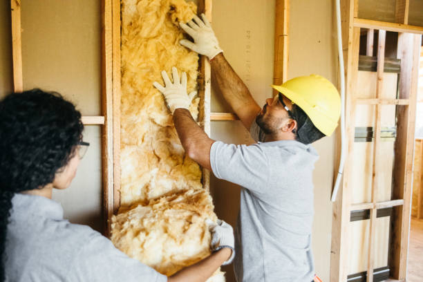 Best Garage Insulation Installation  in Kearney, MO