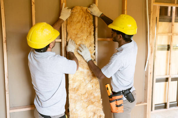 Best Attic Insulation Installation  in Kearney, MO