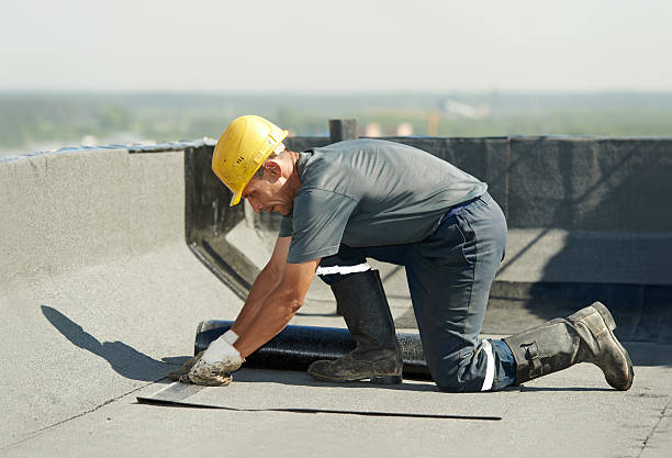 Best Insulation Removal  in Kearney, MO