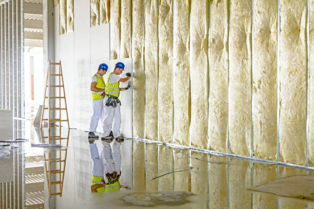 Best Spray Foam Insulation  in Kearney, MO